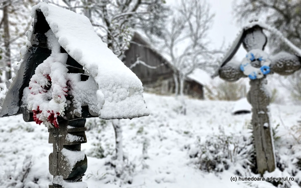 A nins în Ținutul Pădurenilor. Foto: Daniel Guță. ADEVĂRUL