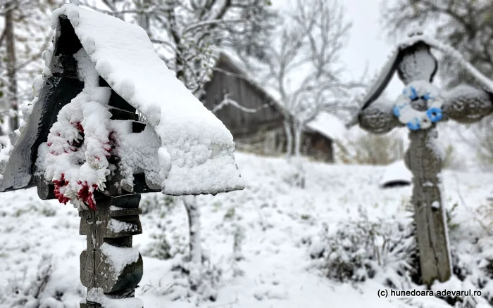 A nins în Ținutul Pădurenilor. Foto: Daniel Guță. ADEVĂRUL