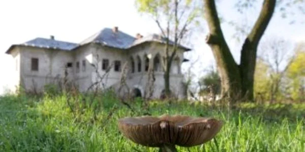 Conacul unde afost filmat Tănase scatiu a ajuns o ruină
