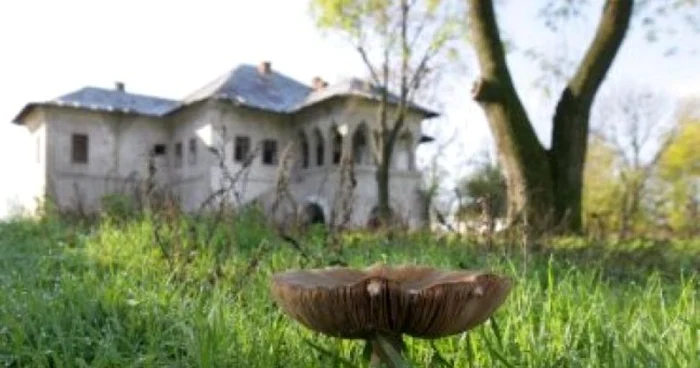 Conacul unde afost filmat Tănase scatiu a ajuns o ruină