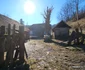 Satul Dănulești din Hunedoara Foto Daniel Guță ADEVĂRUL (31) jpg