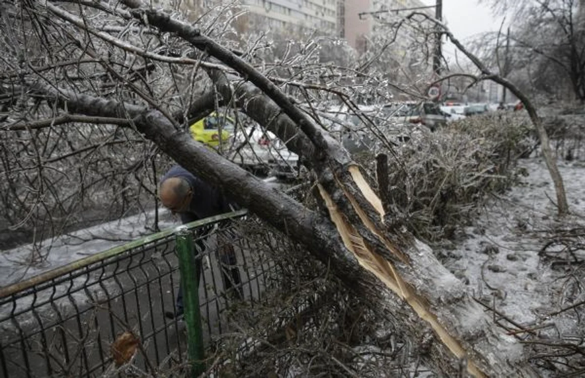 Sute de copaci au căzut din cauza stratului gros de gheaţă depus Foto INQUAM Photos
