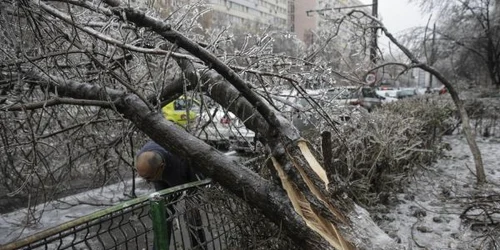 Polei Bucureşti / FOTO Inquam Photos / Octav Ganea / 26 ian 2019