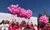 15 andreea esca happy run fundatia renasterea 11 jpg jpeg