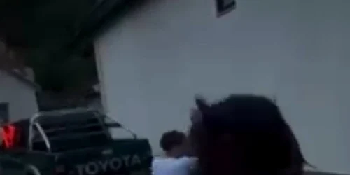 Doi bărbați din Bistrița-Năsăud, reținuți după ce au forțat un cal să tragă o mașină de teren