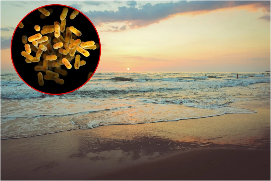 Există risc de infectare cu Legionella în vacanță? Foto: unsplash.com