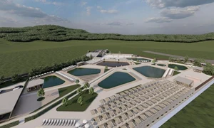 1 3 263653 1715775145 03711 fav jpg