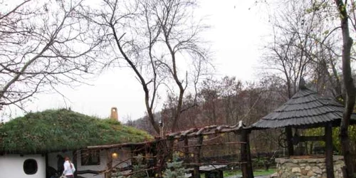 Casa viitorului în România