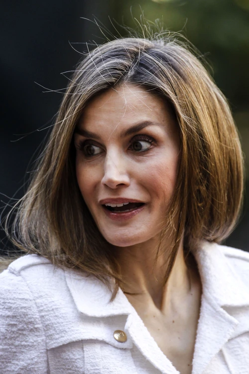 Queen Letizia Attends A Seminar Madrid jpeg