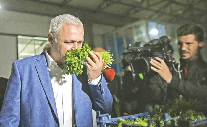 Aflat în vizită la Colibaşi, Liviu Dragnea s-a luat «la trântă» cu mâncarea de contrabandăfotografii: Inquam