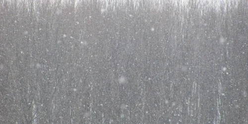 Ninsori la început de primăvară