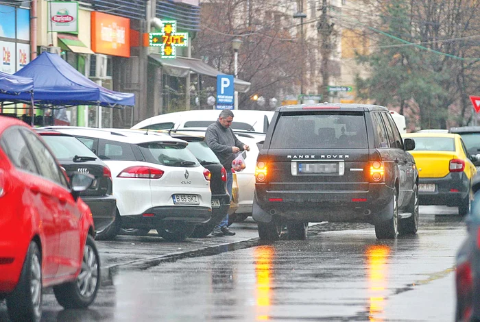 Cristi Borcea i-a pus la dispoziţie un şofer de încredere, care o ajută mereu şi la cumpărături