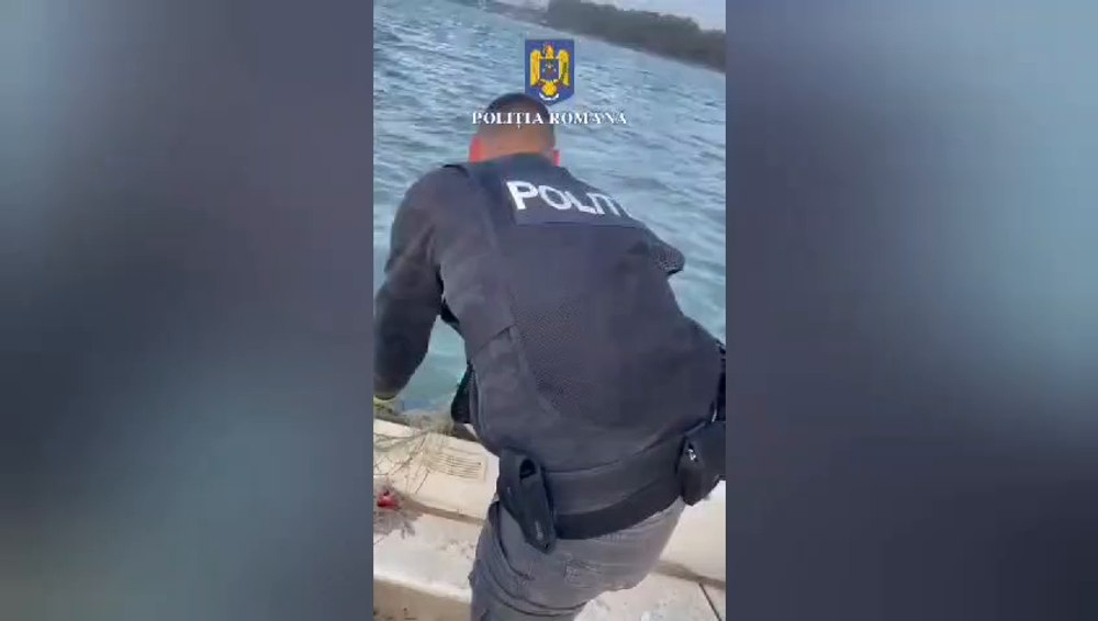 Braconaj de sturioni pe Dunăre. Peștii din specia periclitată au fost eliberați în apă VIDEO