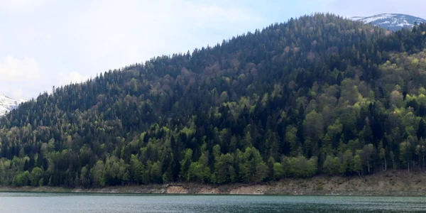 lacul gura apelor retezat foto daniel guta adevarul
