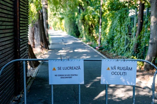 Bucureștiul începe lucrările de refacere a aleilor din Parcul Herăstrău FOTO: Facebook
