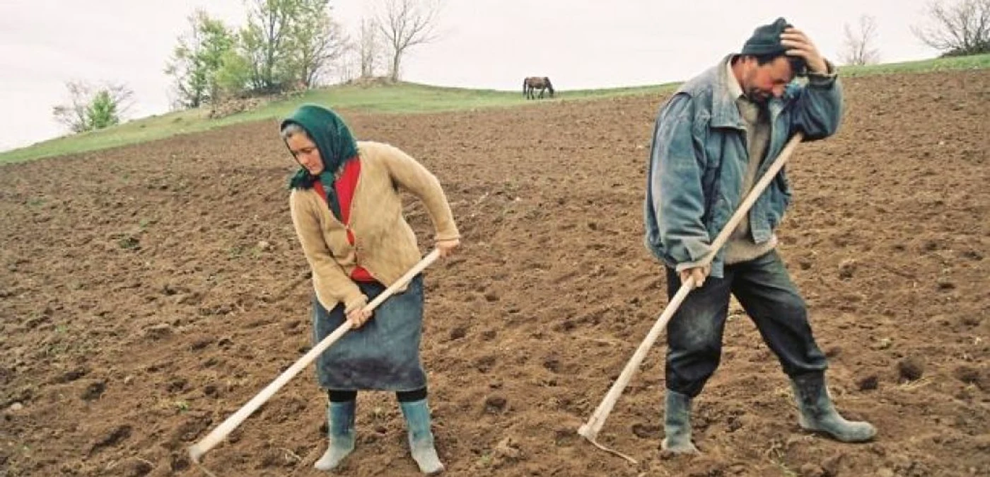 Arhivă