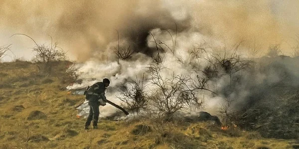 incendii padure isu hunedoara