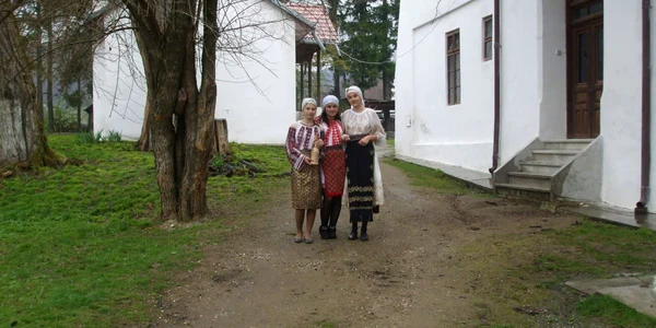 Artistii fotografi isi „petrec” vara la conacul lui Balcescu