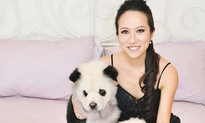 caini panda12547 0 jpeg