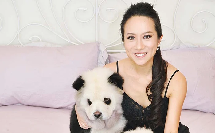 Meng Jiang este o stăpână fericită, alături de pufoşii Tudou, Yumi şi DouDou