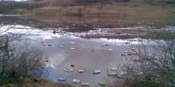 Sute de peturi zac pe lacul Cinciş