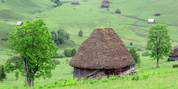 zapodie apuseni