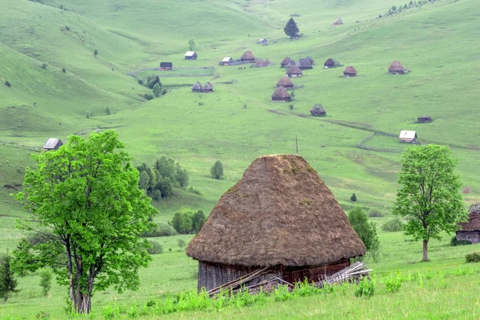 Cătunul Zăpodie a fost pentru mai mulţi ani ”casa” luptătorilor anticomunişti. Foto: Marius Turc