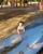 15665571 1027842577344793 6073881430707524116 n jpeg
