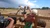 15941210 1359038137473116 8749475260933127646 n jpeg
