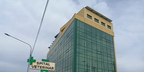 spital veterinar pitesti 06 cladire foto denis grigorescu jpg