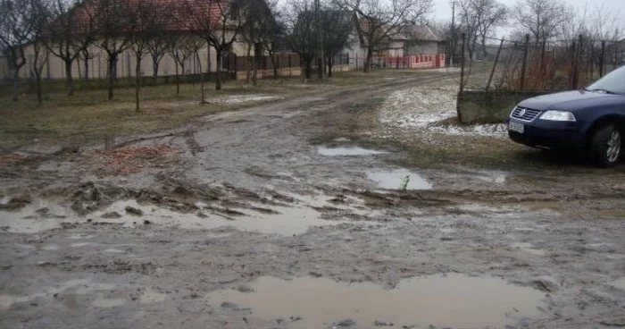 Cam aşa arată satul Ianculeşti, încadrat în categoria A a municipiului Carei