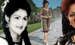 banner elena merișoreanu png