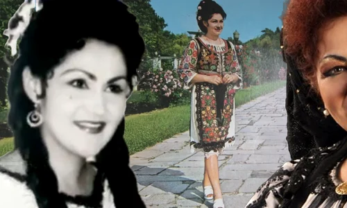 banner elena merișoreanu png