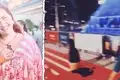 cub rona hartner animat gif