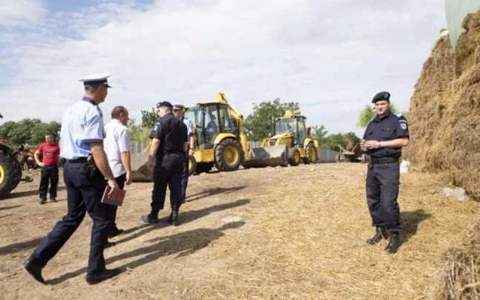 Poliţiştii au descoperit ororile de la stânele fraţilor Enache Foto: arhivă Adevărul