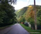 Drumul spre Lacul Gura Apelor din Retezat Foto Daniel Guță (4) jpg