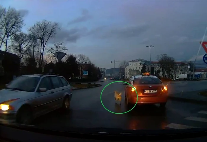 Captură video Credit video: Facebook Mara Mărginean