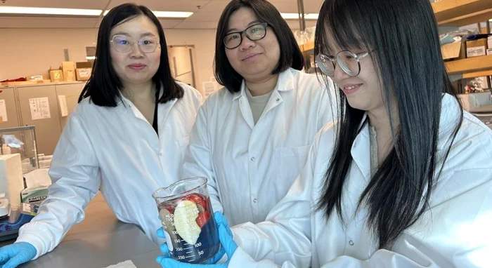 Soluția ajută fructele să rămână proaspete mai mult timp / foto: UBC Media Relations