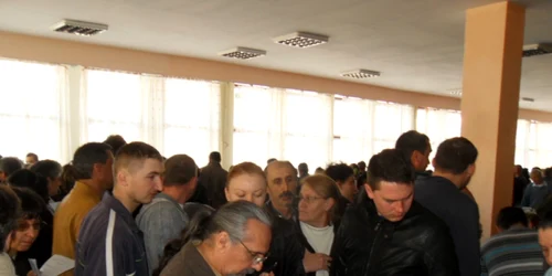 bursa locurilor de munca bistrita 2