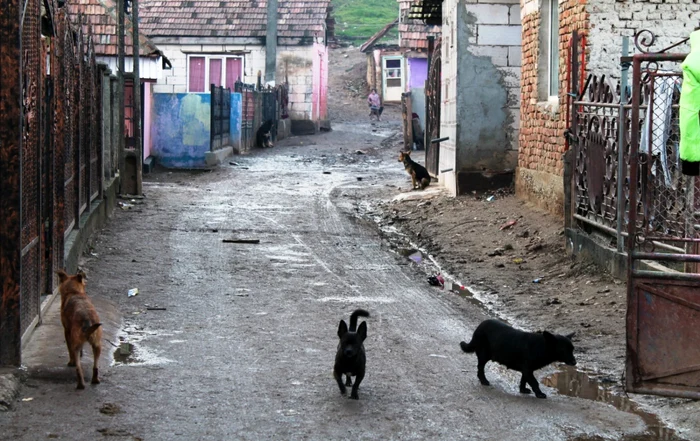 comunitate saraca jibou foto primaria jibou