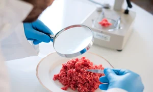 carne artificiala jpeg