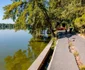 Bucureștiul începe lucrările de refacere a aleilor din Parcul Herăstrău FOTO: Facebook