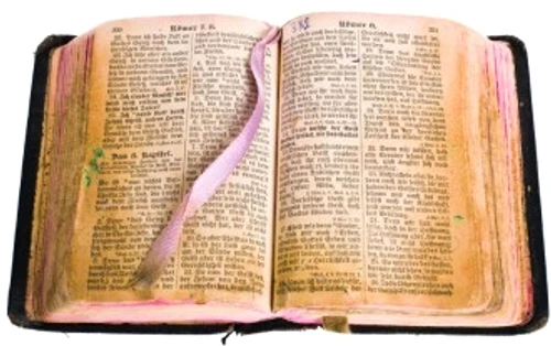 b8d5b05a1dc1ce9b677ece6ed4241e49 jpg jpeg