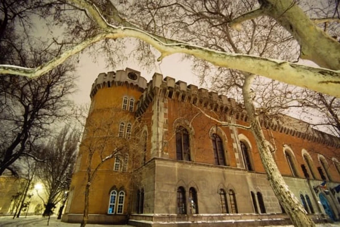 Castelul Huniade din Timişoara