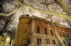 Castelul Huniade