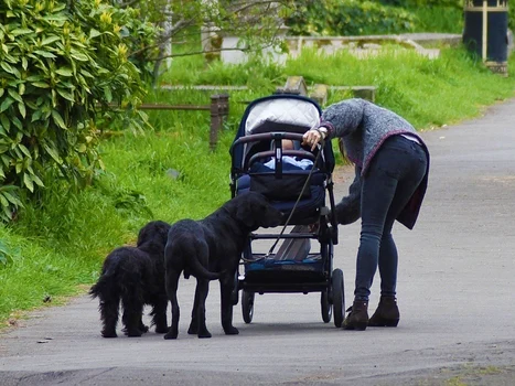 2 pippa middleton profimedia 0424682109 jpg jpeg