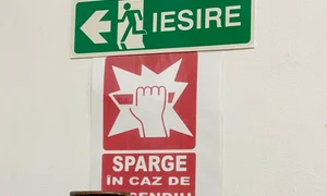 p 24 M  Plesu jpg