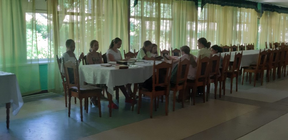Tabere pentru copiii din Diaspora unde aceștia să-și poată descoperi rădăcinile. „Am traversat Oceanul...”