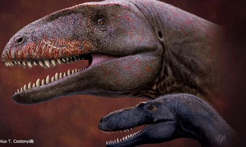 Oamenii de știință au descoperit un dinozaur ”dinte de rechin” care domina lanțul trofic înainte de tiranozauri jpeg
