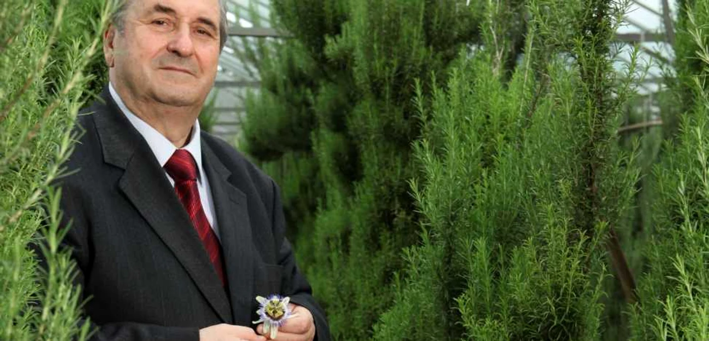 Ştefan Manea FOTO Adevărul